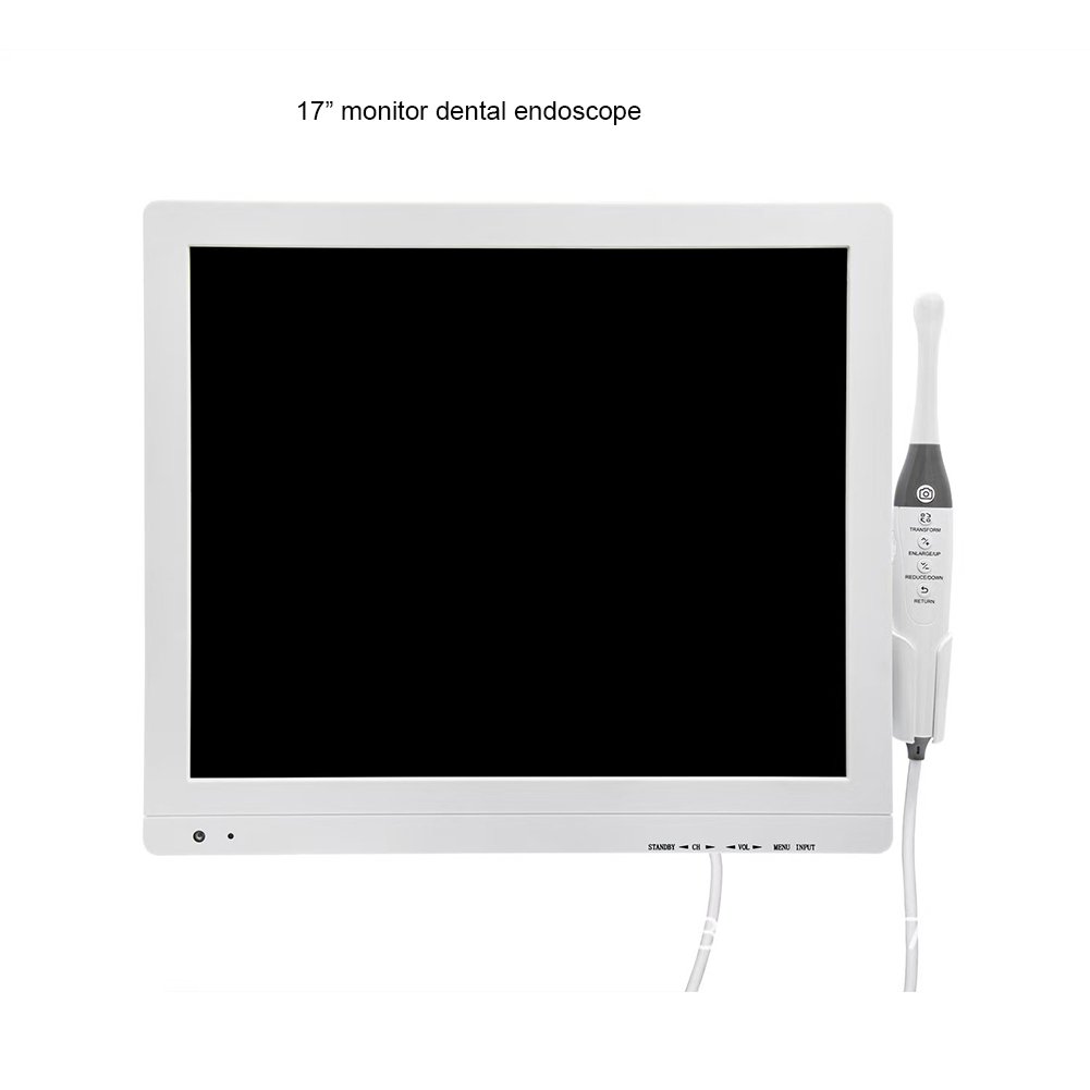 Dental Intraoral Camera with S - Endoscope Inspection Camera review and price