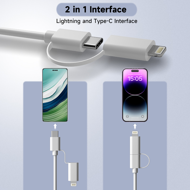 2 in 1 Oral Camera for Type-C/ - Endoscope Inspection Camera review and price